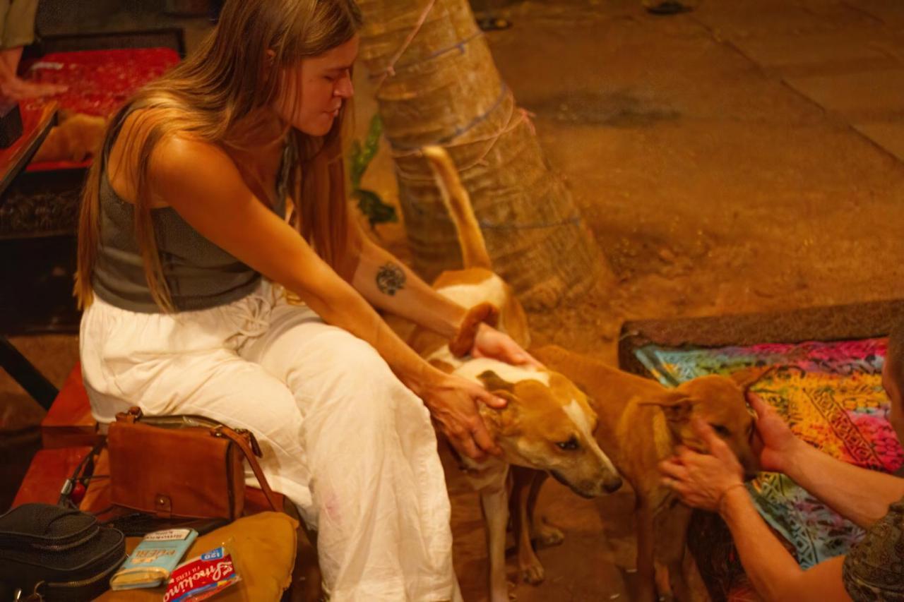 ארמבול Spirithouse Hostel מראה חיצוני תמונה