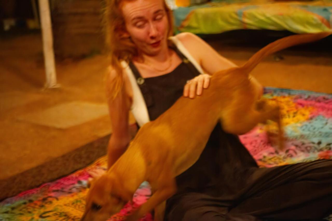 ארמבול Spirithouse Hostel מראה חיצוני תמונה